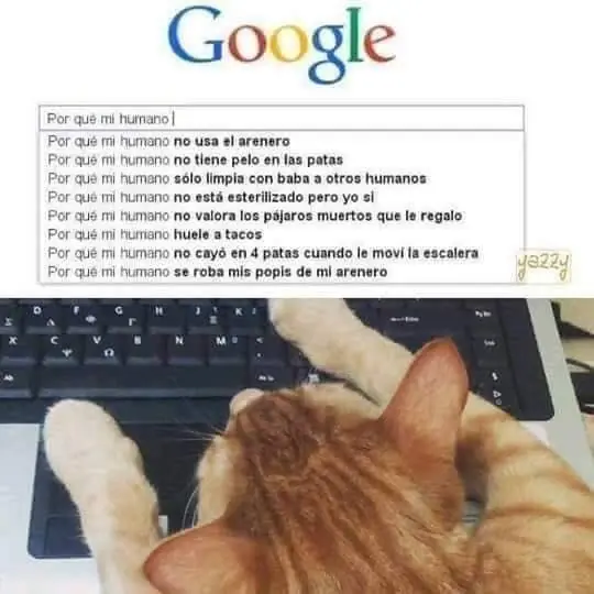 memazos