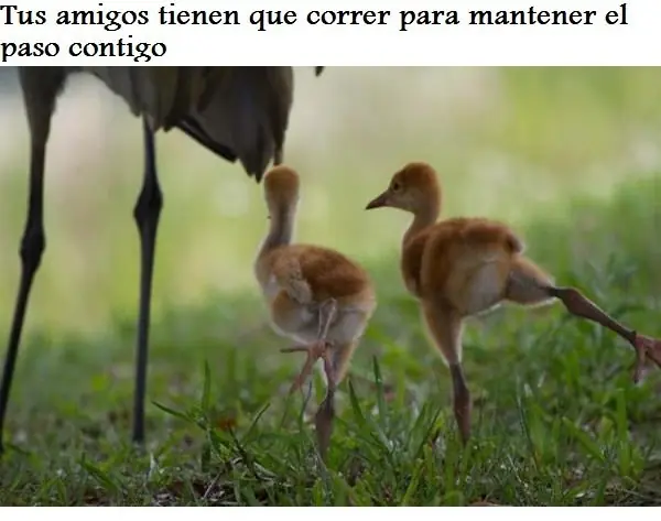 Fotos divertidas que solo las pe