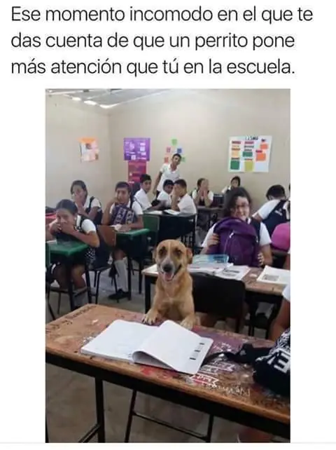 memazos