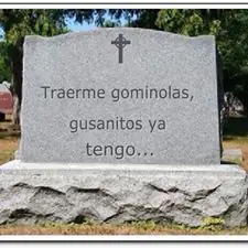Imagenes Humor linces