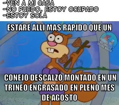 humor