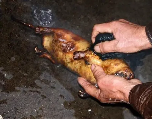 16 Platos del mundo que no podrias comer...