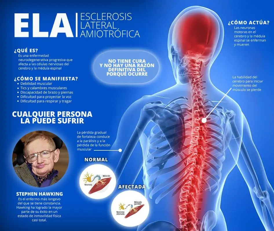 tal vez no sabias tal vez no sabias