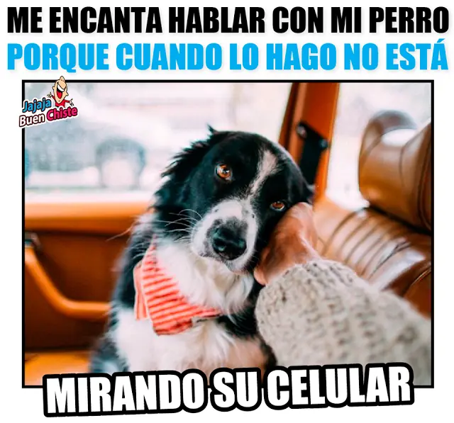 entra y reite
