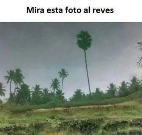 imagenes