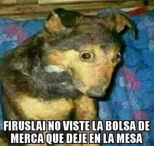 deja puntos y comenta