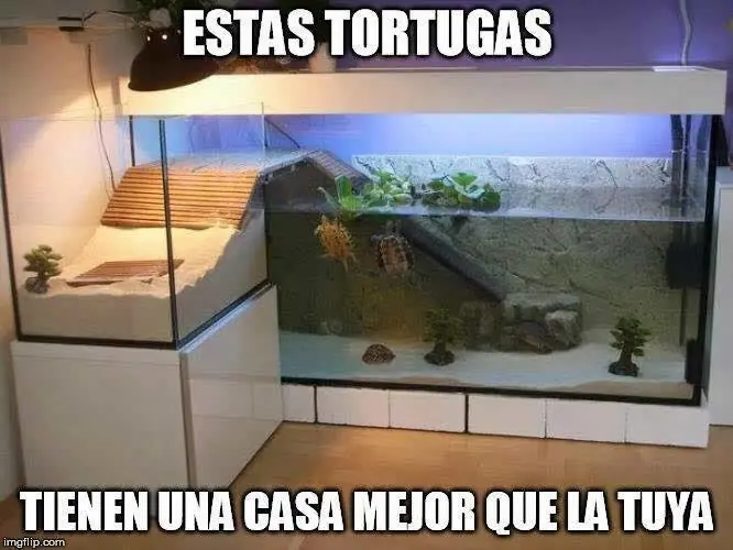 graciosas