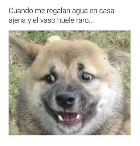 humor