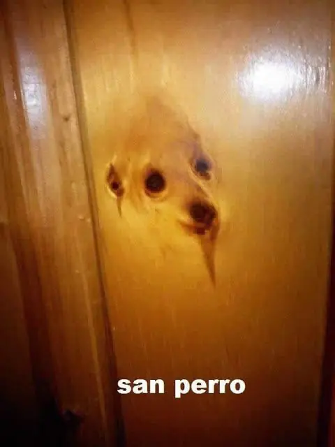 humor taringuero