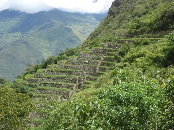 peru peru
