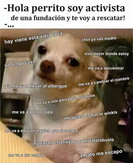 mente