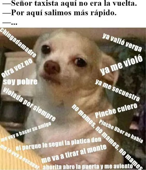 enojado