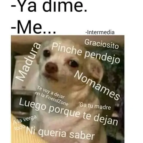 leyo
