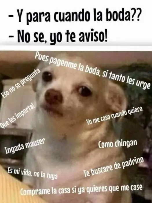 leyo