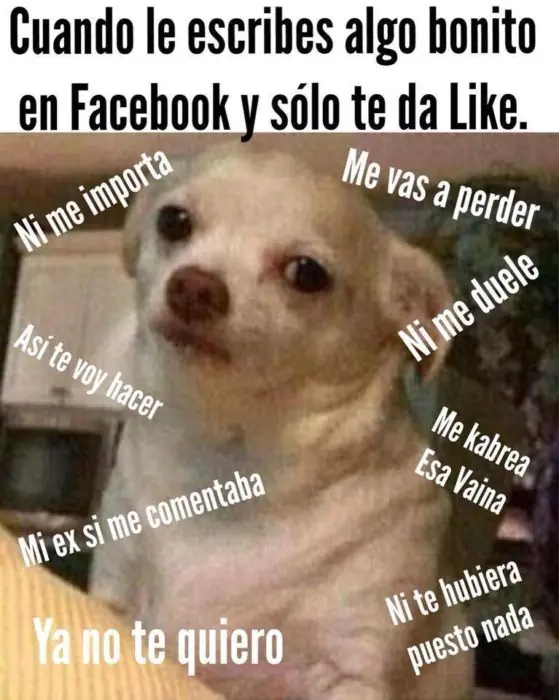 veces