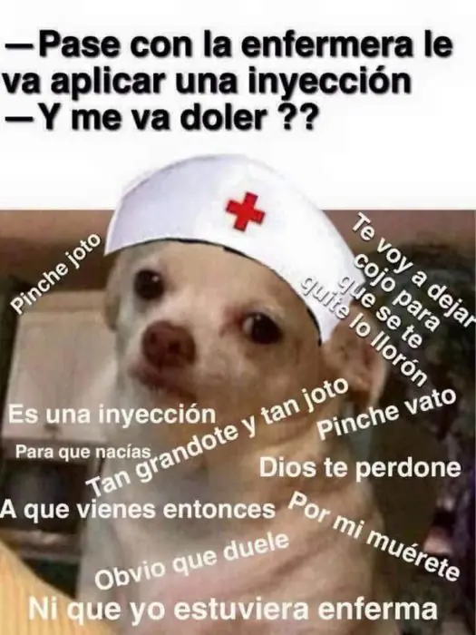 leyo