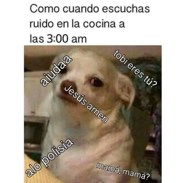 Veces que el perrito enojado nos leyó la mente