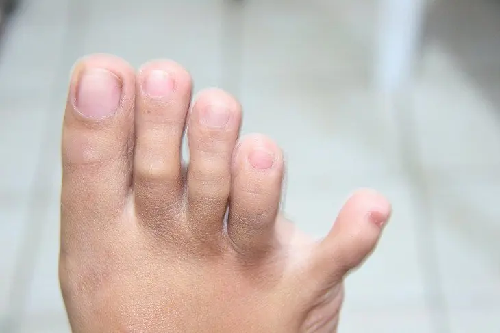 pies pies