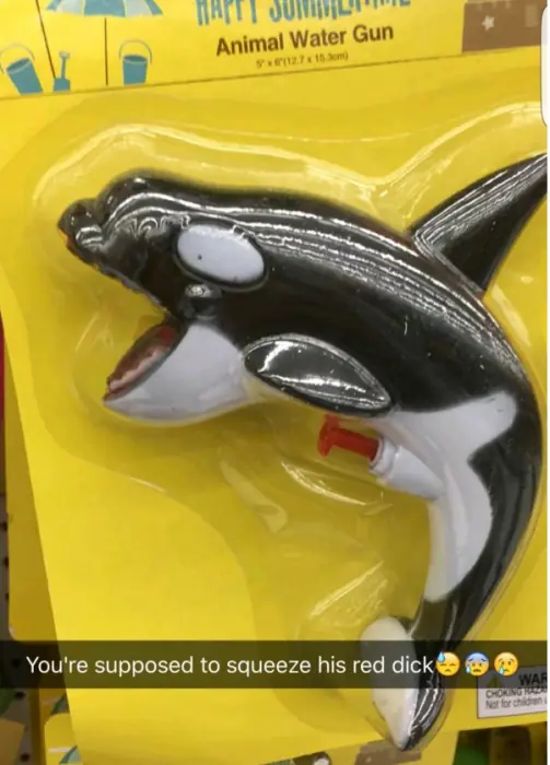 vidas