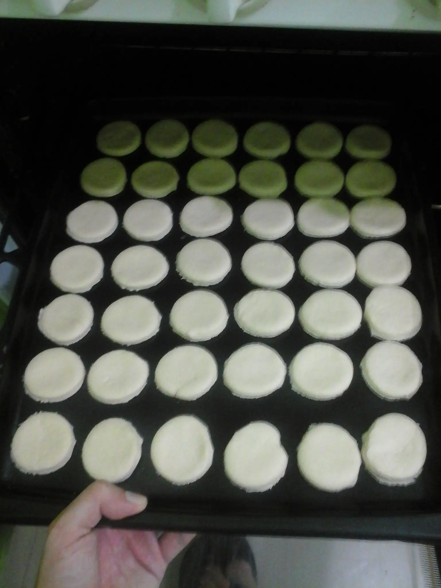 caseros caseros