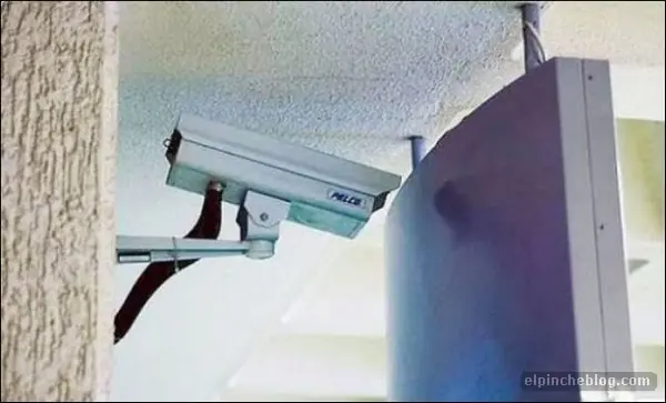 Cuando los ingenieros van a trabajar hasta el cul…