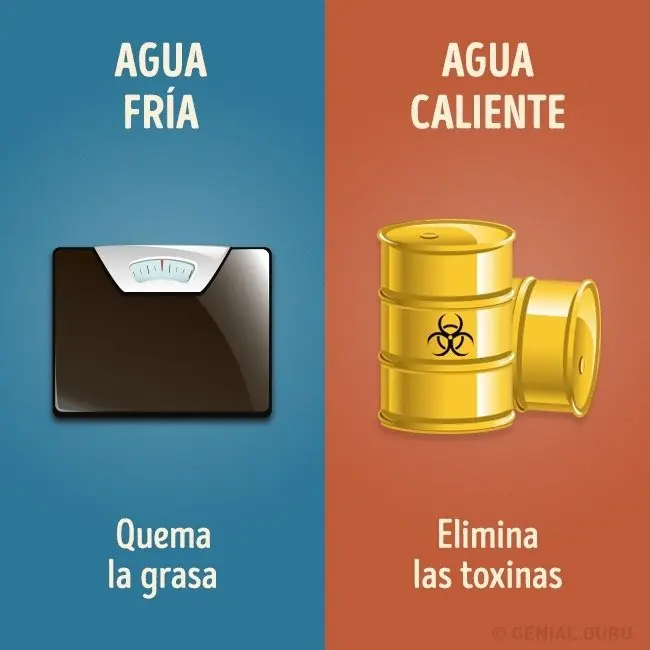 Diferencias Diferencias