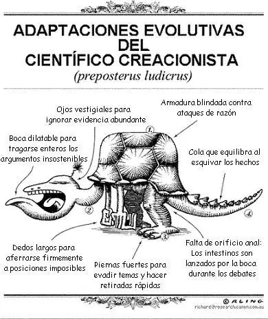 humor