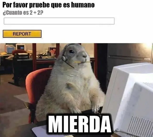 Grafico