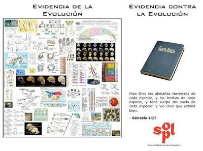 evolucion