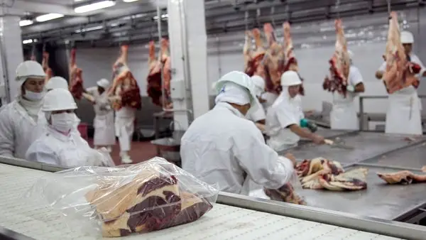 Cerraron 5000 pymes en década ganada pq no podían exportar