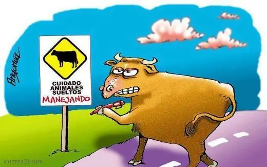 fotos