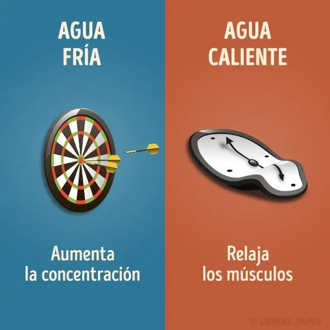 fria fria