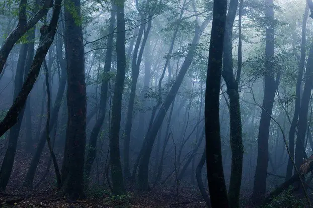 lugares ficticios lugares ficticios