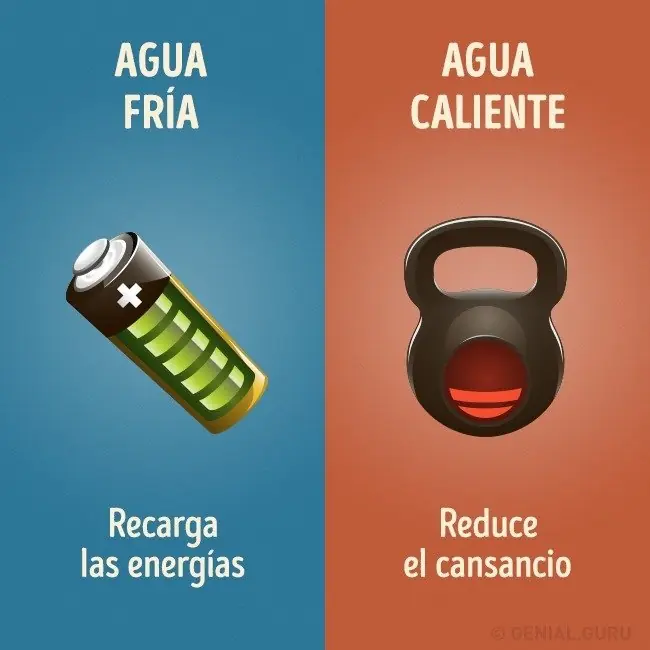 ducha ducha