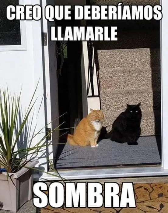 memazos