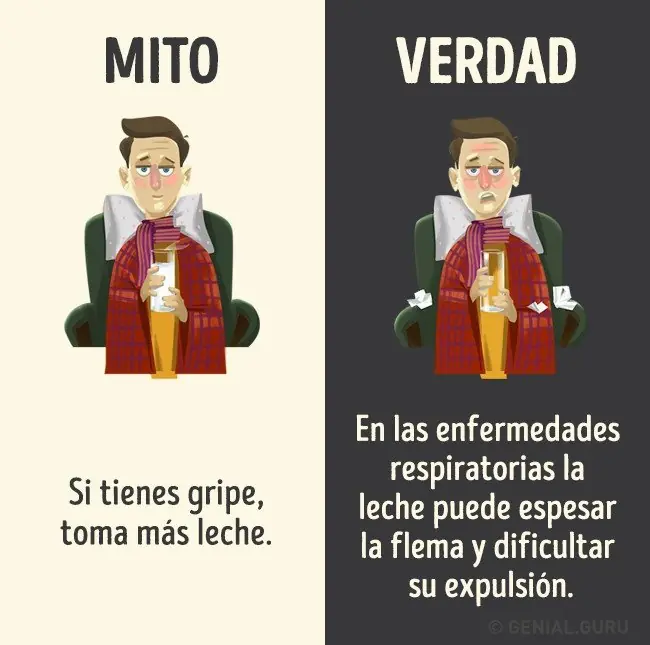 bebidas bebidas