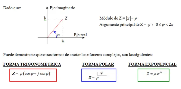 universidad