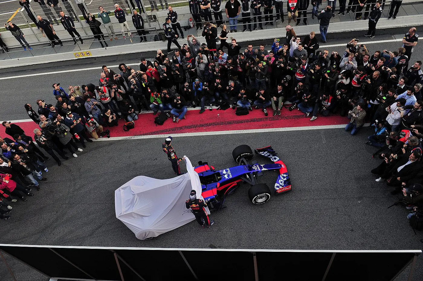 Toro Rosso