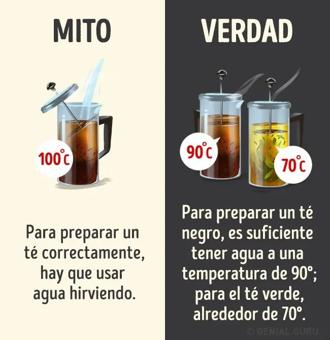 bebidas bebidas