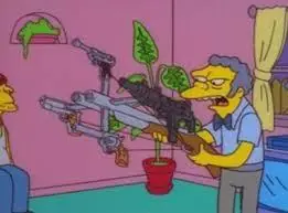 yo te banco