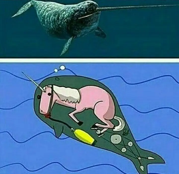 Imágenes de Humor para este Domingo [Memes y más]