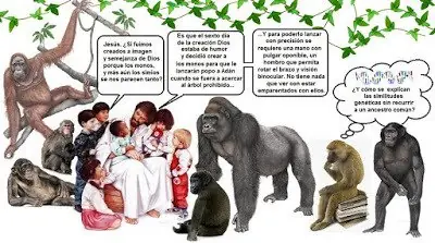 humor