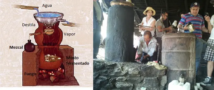 bacanora bacanora