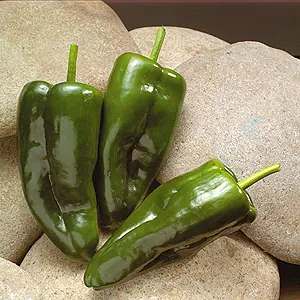 los 10 chiles que si pican