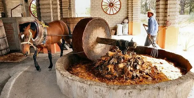 mezcal mezcal