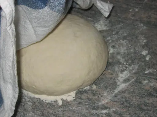 cebolla