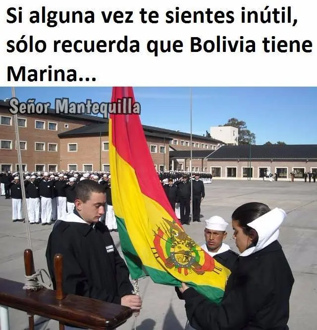 Recolecta de memes parte 2 papu..