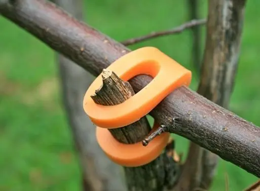 Bear Grylls Bear Grylls