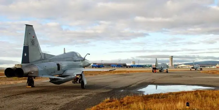 f5 tiger