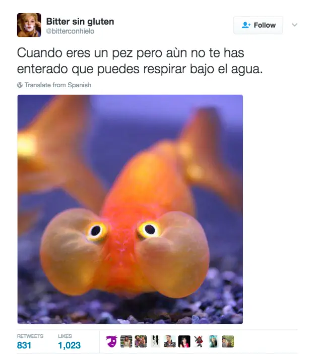 humor